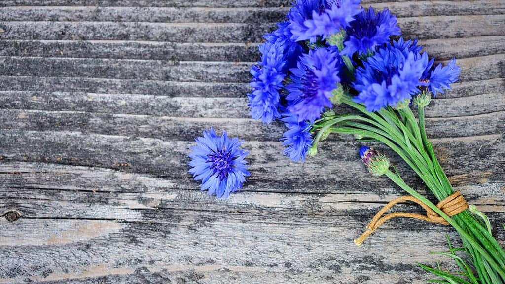 flowers wood banner.jpg